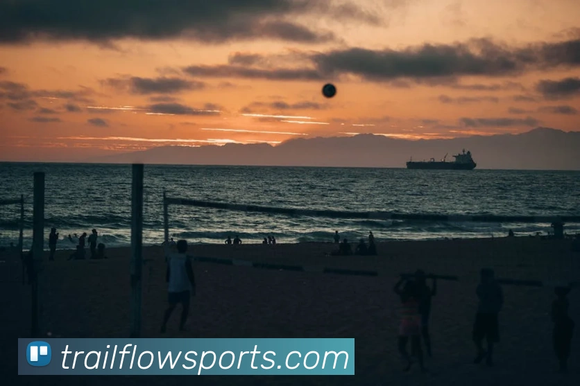 体育下注APP 封面图